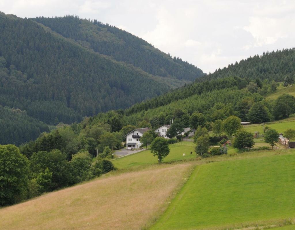 Duempelhof Ferienwohnungen Olsberg Exterior photo